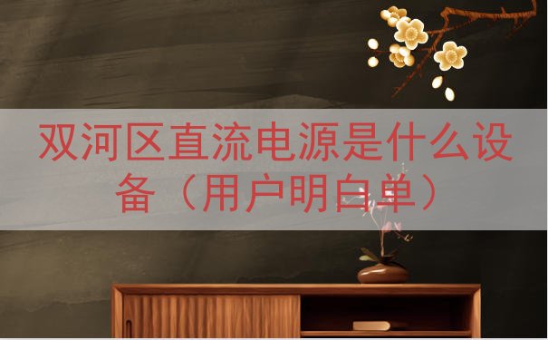 双河区直流电源是什么设备（用户明白单）